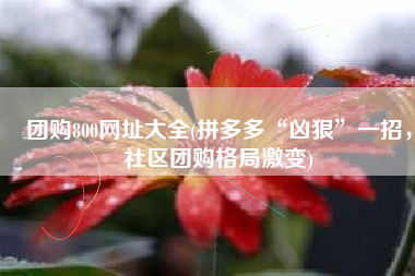 团购800网址大全(拼多多“凶狠”一招，社区团购格局激变)