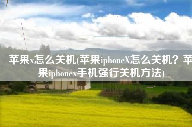 苹果x怎么关机(苹果iphoneX怎么关机？苹果iphonex手机强行关机方法)