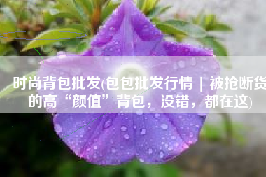 时尚背包批发(包包批发行情 | 被抢断货的高“颜值”背包，没错，都在这)