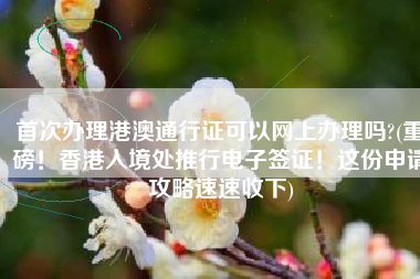 首次办理港澳通行证可以网上办理吗?(重磅！香港入境处推行电子签证！这份申请攻略速速收下)