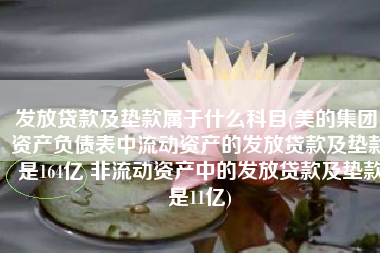 发放贷款及垫款属于什么科目(美的集团：资产负债表中流动资产的发放贷款及垫款是164亿 非流动资产中的发放贷款及垫款是11亿)