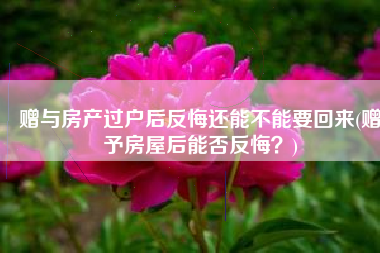 赠与房产过户后反悔还能不能要回来(赠予房屋后能否反悔？)