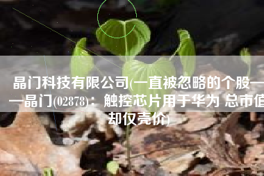 晶门科技有限公司(一直被忽略的个股——晶门(02878)：触控芯片用于华为 总市值却仅壳价)