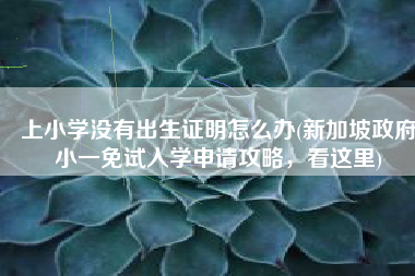 上小学没有出生证明怎么办(新加坡政府小一免试入学申请攻略，看这里)