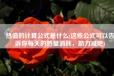 热值的计算公式是什么(这些公式可以告诉你每天的热量消耗，助力减肥)