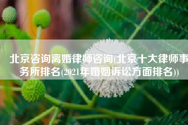 北京咨询离婚律师咨询(北京十大律师事务所排名(2021年婚姻诉讼方面排名))