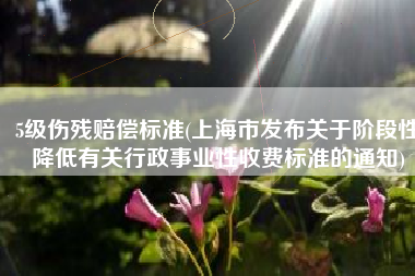 5级伤残赔偿标准(上海市发布关于阶段性降低有关行政事业性收费标准的通知)