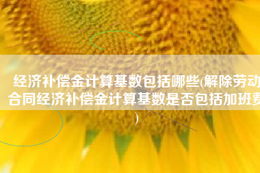 经济补偿金计算基数包括哪些(解除劳动合同经济补偿金计算基数是否包括加班费)