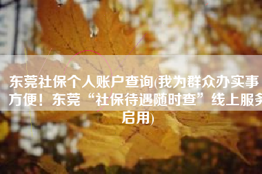 东莞社保个人账户查询(我为群众办实事｜方便！东莞“社保待遇随时查”线上服务启用)