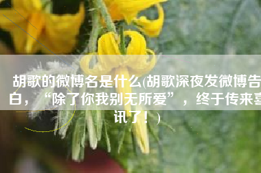 胡歌的微博名是什么(胡歌深夜发微博告白，“除了你我别无所爱”，终于传来喜讯了！)