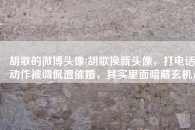 胡歌的微博头像(胡歌换新头像，打电话动作被调侃遭催婚，其实里面暗藏玄机)