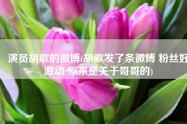 演员胡歌的微博(胡歌发了条微博 粉丝好激动 原来是关于哥哥的)