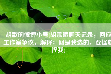 胡歌的微博小号(胡歌晒聊天记录，回应工作室争议，解释：图是我选的，要怪就怪我)