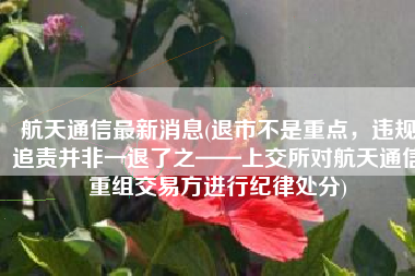 航天通信最新消息(退市不是重点，违规追责并非一退了之——上交所对航天通信重组交易方进行纪律处分)