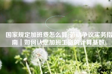 国家规定加班费怎么算(劳动争议实务指南｜如何认定加班工资的计算基数)