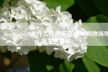 shoppingmall是什么意思英语(各种购物场所英文名详解)