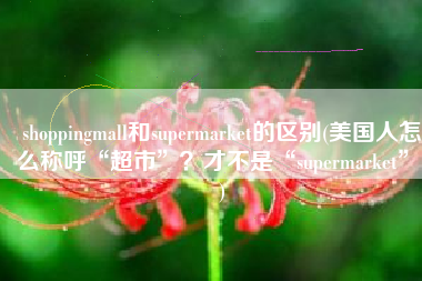 shoppingmall和supermarket的区别(美国人怎么称呼“超市”？才不是“supermarket”！)