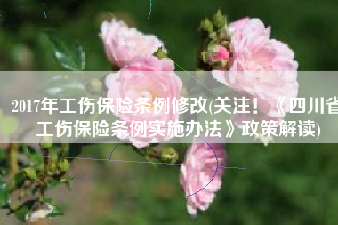 2017年工伤保险条例修改(关注！《四川省工伤保险条例实施办法》政策解读)