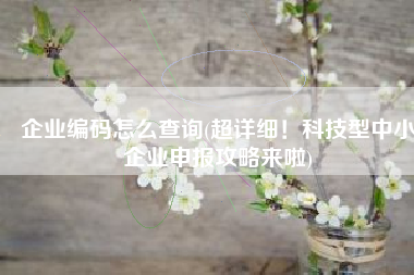 企业编码怎么查询(超详细！科技型中小企业申报攻略来啦)