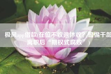 极风app借款(在位不收退休收？警惕干部离职后“期权式腐败”)