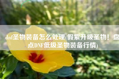 dnf圣物装备怎么处理(假紫升级圣物！盘点DNF低级圣物装备行情)