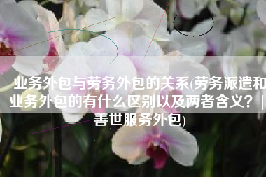 业务外包与劳务外包的关系(劳务派遣和业务外包的有什么区别以及两者含义？| 善世服务外包)