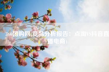 360团购网(竞品分析报告：点淘VS抖音直播电商)