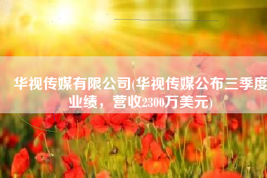 华视传媒有限公司(华视传媒公布三季度业绩，营收2300万美元)