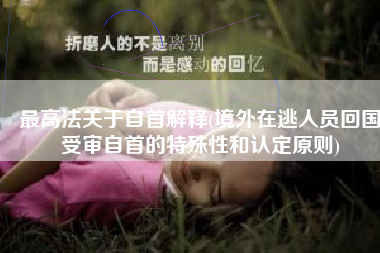 最高法关于自首解释(境外在逃人员回国受审自首的特殊性和认定原则)