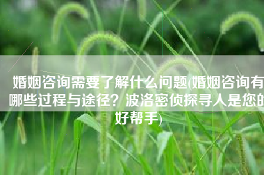婚姻咨询需要了解什么问题(婚姻咨询有哪些过程与途径？波洛密侦探寻人是您的好帮手)