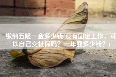 缴纳五险一金多少钱(没有固定工作，可以自己交社保吗？一年要多少钱？)