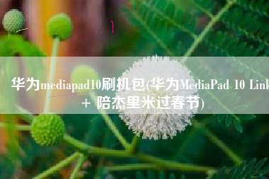 华为mediapad10刷机包(华为MediaPad 10 Link+ 陪杰里米过春节)