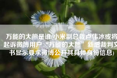 万能的大熊是谁(小米副总裁卢伟冰或将起诉微博用户“万能的大熊”新增裁判文书显示要求微博公开其具体身份信息)