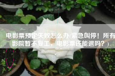 电影票预定失败怎么办(紧急叫停！所有影院暂不复工，电影票还能退吗？)