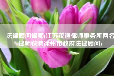 法律顾问律师(江苏茂通律师事务所两名律师获聘徐州市政府法律顾问)