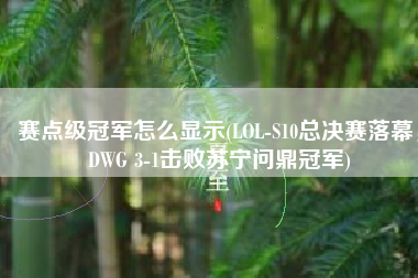 赛点级冠军怎么显示(LOL-S10总决赛落幕，DWG 3-1击败苏宁问鼎冠军)