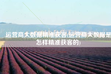 运营商大数据精准获客(运营商大数据是怎样精准获客的)