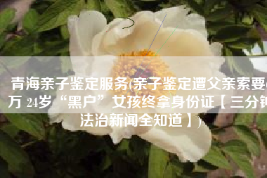 青海亲子鉴定服务(亲子鉴定遭父亲索要6万 24岁“黑户”女孩终拿身份证【三分钟法治新闻全知道】)