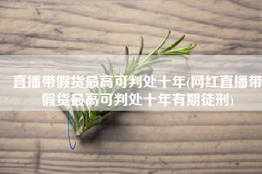 直播带假货最高可判处十年(网红直播带假货最高可判处十年有期徒刑)