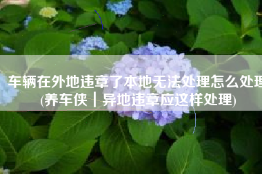 车辆在外地违章了本地无法处理怎么处理(养车侠｜异地违章应这样处理)