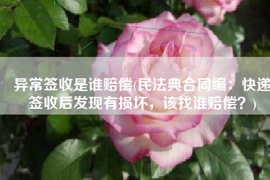 异常签收是谁赔偿(民法典合同编：快递签收后发现有损坏，该找谁赔偿？)