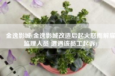 金逸影城(金逸影城改造后起火怒而解雇监理人员 遭遇该员工起诉)