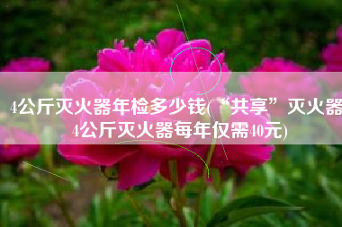 4公斤灭火器年检多少钱(“共享”灭火器！4公斤灭火器每年仅需40元)