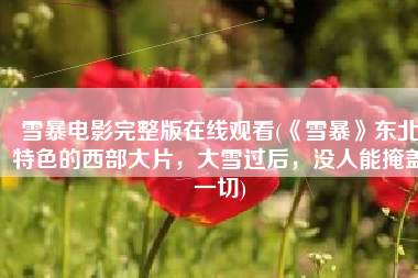 雪暴电影完整版在线观看(《雪暴》东北特色的西部大片，大雪过后，没人能掩盖一切)