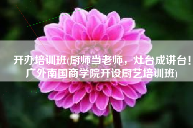 开办培训班(厨师当老师，灶台成讲台！广外南国商学院开设厨艺培训班)