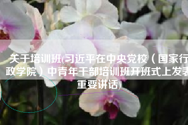 关于培训班(习近平在中央党校（国家行政学院）中青年干部培训班开班式上发表重要讲话)
