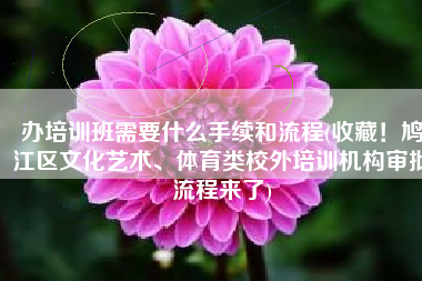 办培训班需要什么手续和流程(收藏！鸠江区文化艺术、体育类校外培训机构审批流程来了)