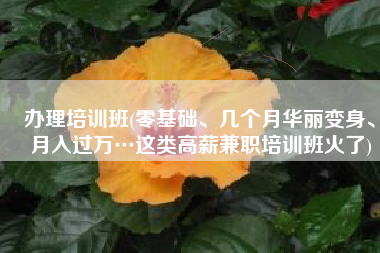 办理培训班(零基础、几个月华丽变身、月入过万…这类高薪兼职培训班火了)