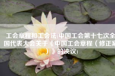 工会章程和工会法(中国工会第十七次全国代表大会关于《中国工会章程（修正案）》的决议)