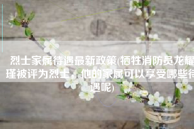 烈士家属待遇最新政策(牺牲消防员龙耀瑾被评为烈士，他的家属可以享受哪些待遇呢)